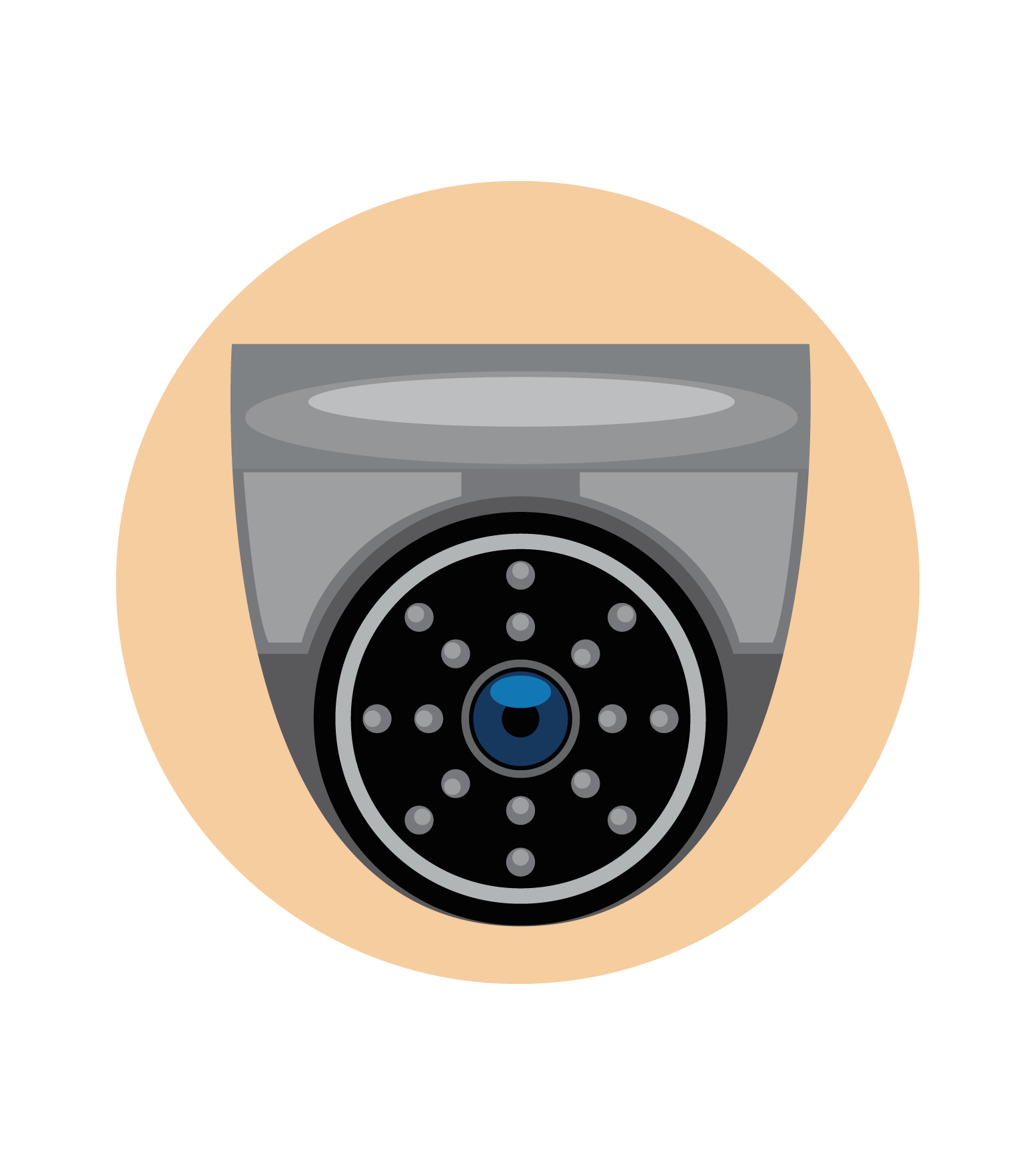 دوربین مداربسته IP 2
